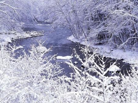 hiver