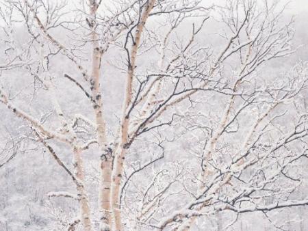 hiver 1