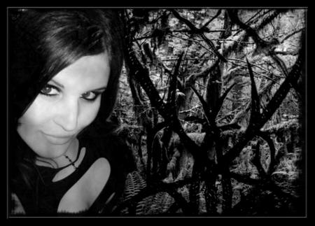 Follow me in my nigthmare...
