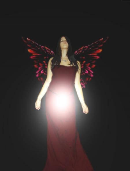 Butterfly 1